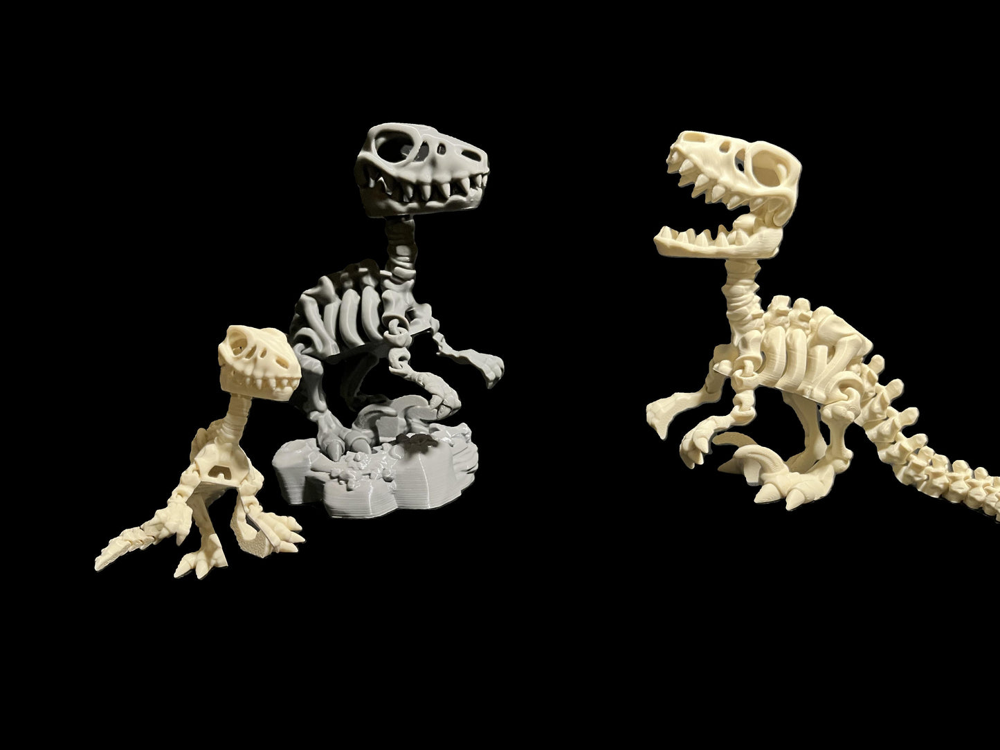 Flexi raptor