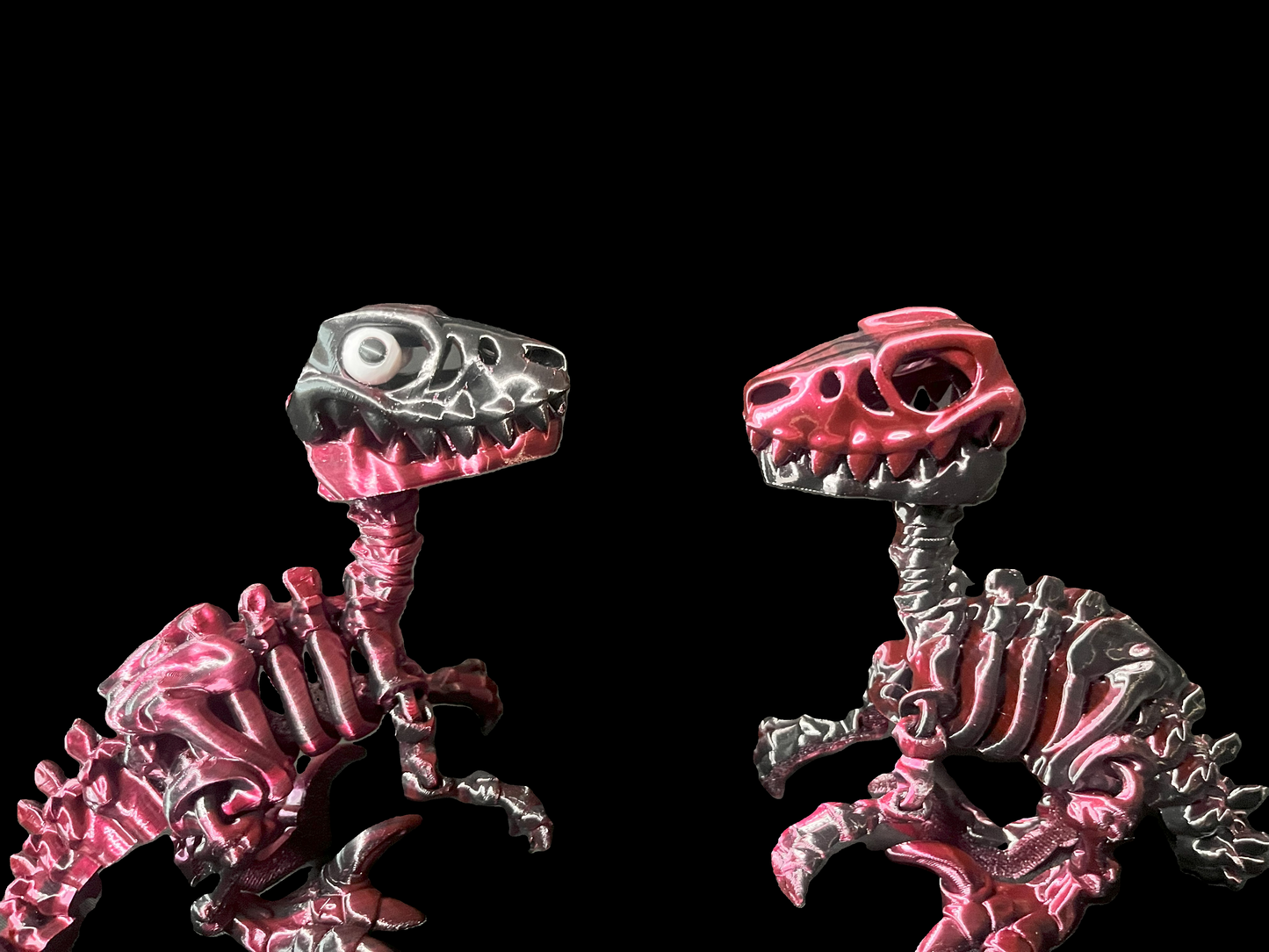 Flexi raptor