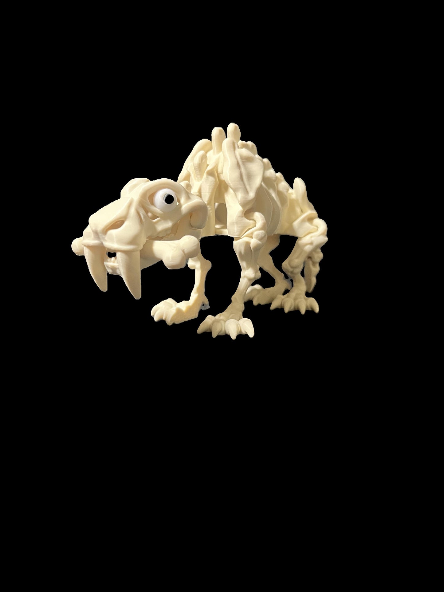 Saber tooth tiger skeleton