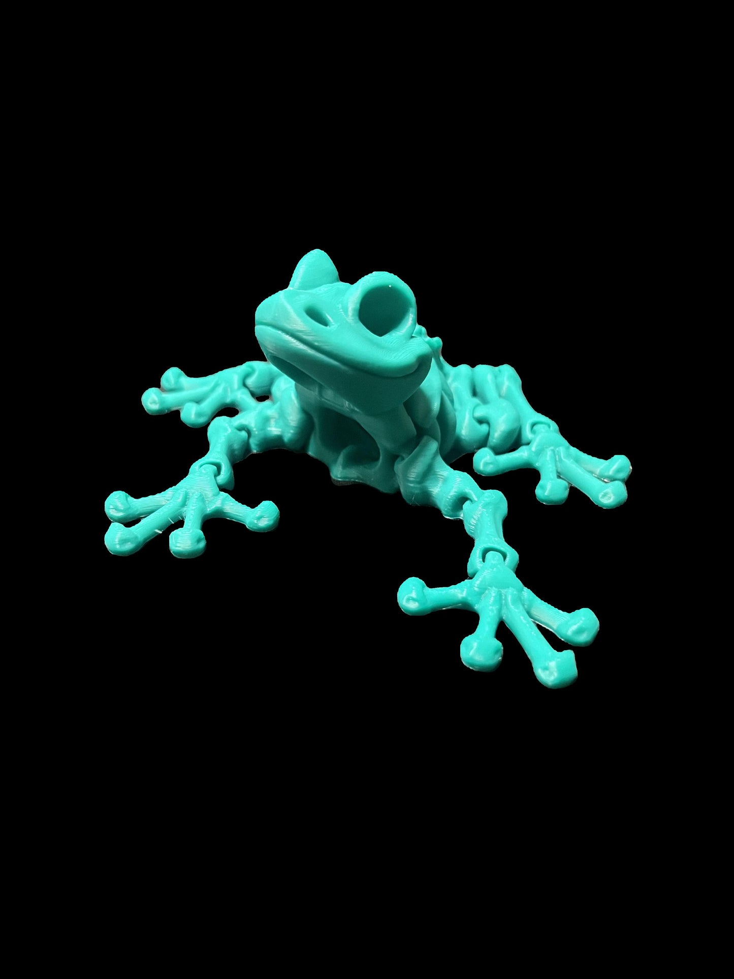 Skeleton frog