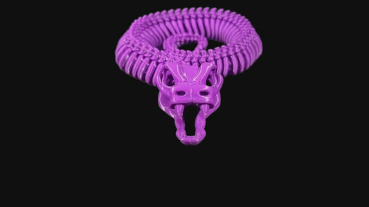 Snake skeleton