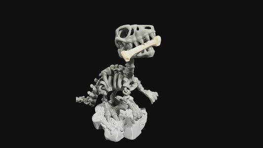 Flexi raptor
